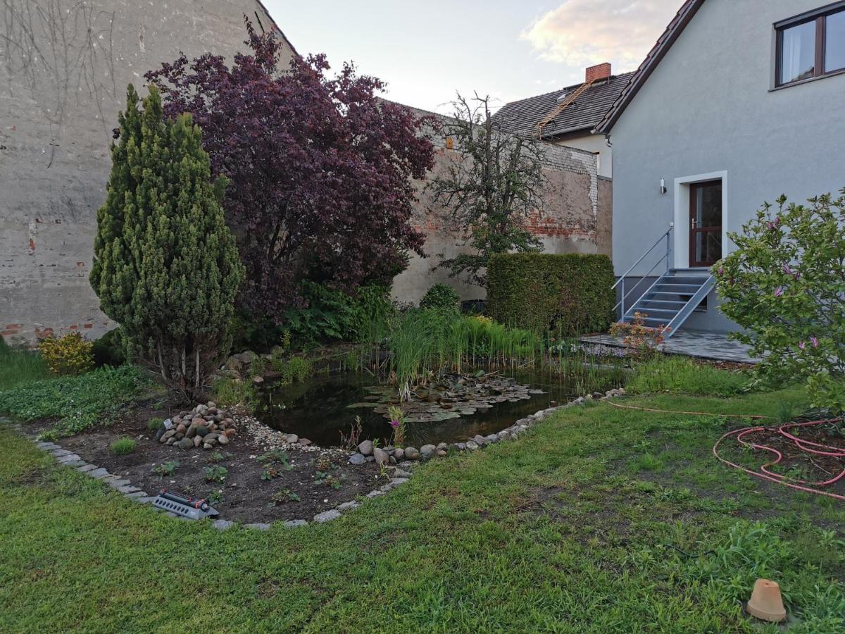 Fewo Rohleder De Mit 130M2 Und Garten Fuer 6Pers Mit 2 Bad Котбус Екстер'єр фото