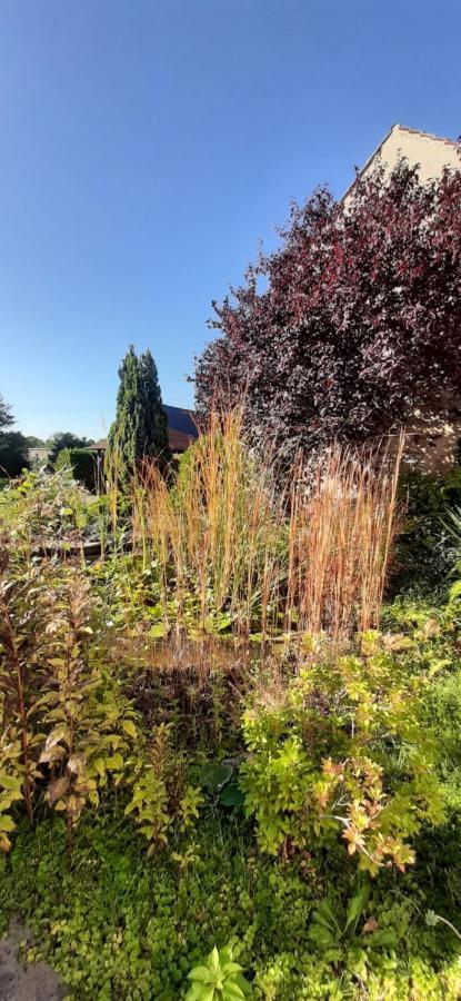 Fewo Rohleder De Mit 130M2 Und Garten Fuer 6Pers Mit 2 Bad Котбус Екстер'єр фото